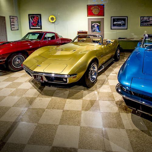 The image shows a collection of three vintage sports cars in a showroom, with a red, a gold, and a blue car lined up side by side.