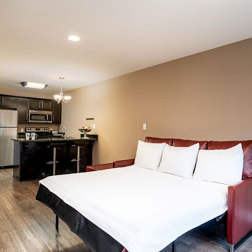 A studio apartment with an open layout, featuring a pull-out bed, a kitchen area with stainless steel appliances, and modern furniture and lighting.